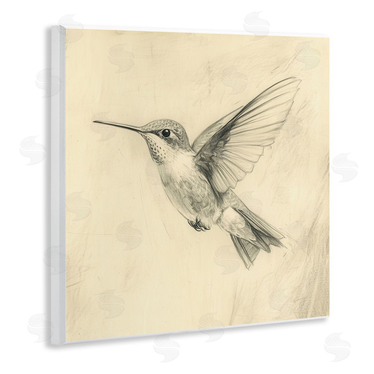 Petal Prints Design Vintage Hummingbird Sketch Wall Plaque Art Print