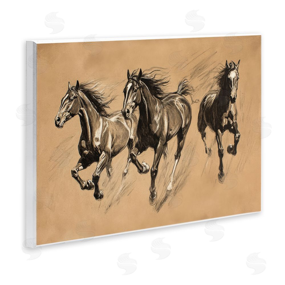 Petal Prints Design Running Free Horse Trio Wall Plaque Art Print