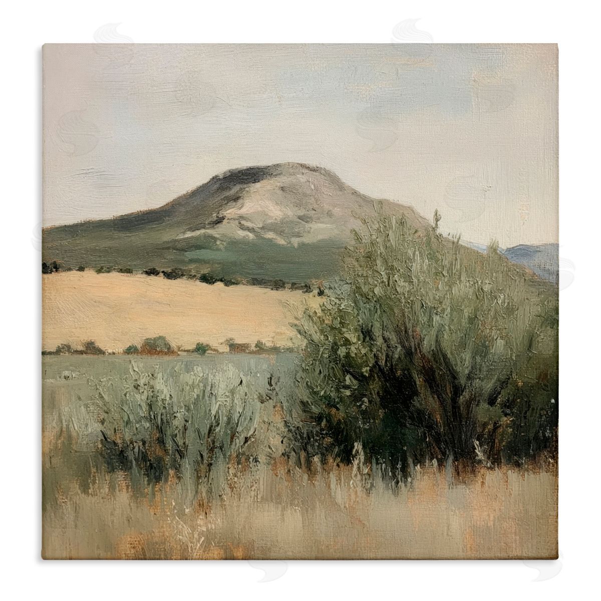 Petal Prints Design Spring Mountain Meadow Landscape Canvas Wall Art Print