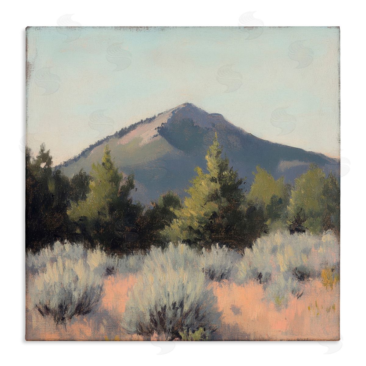 Petal Prints Design Tucson Mountain Landscape Canvas Wall Art Print
