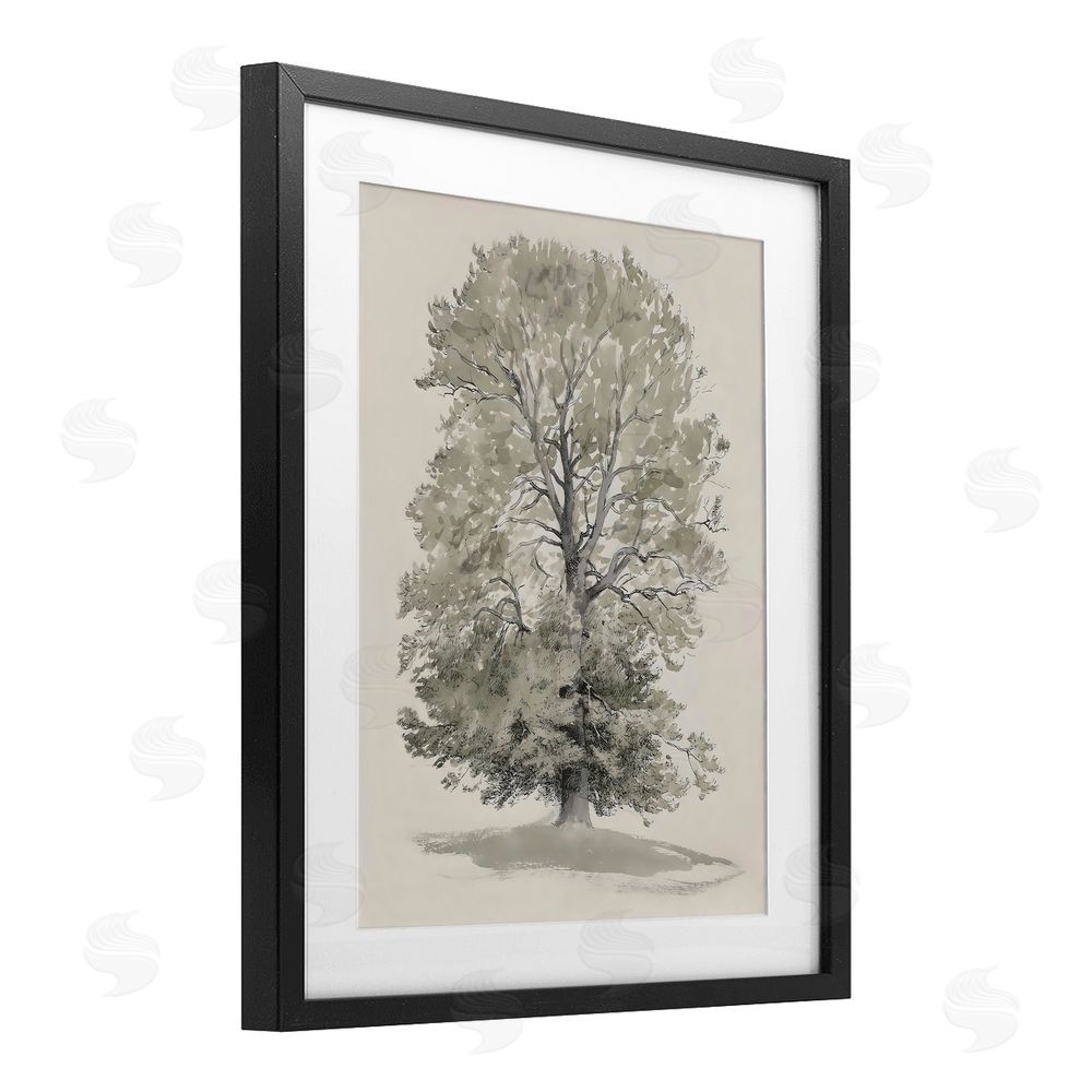 Riley B Vintage Farmhouse Tall Tree Black Framed Print Under Glass with White Mat Wall Art