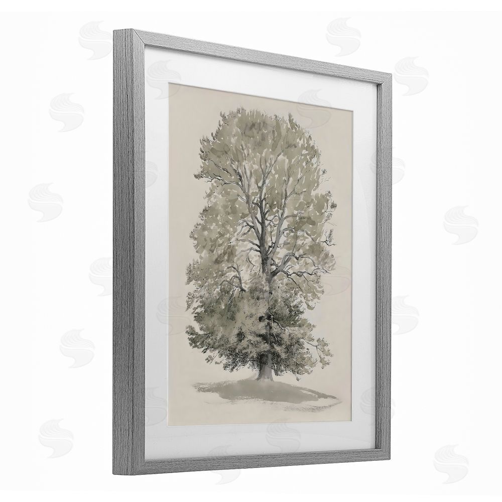 Riley B Vintage Farmhouse Tall Tree Gray Framed Print Under Glass with White Mat Wall Art