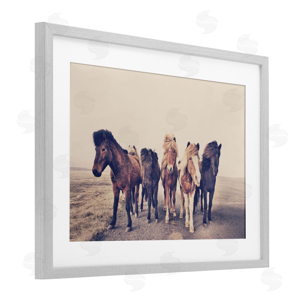 Sisi and Seb Muted Brown Horse Group Gray Framed Print Under Glass with White Mat Wall Art