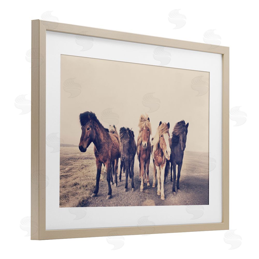 Sisi and Seb Muted Brown Horse Group Birch Framed Print Under Glass with White Mat Wall Art