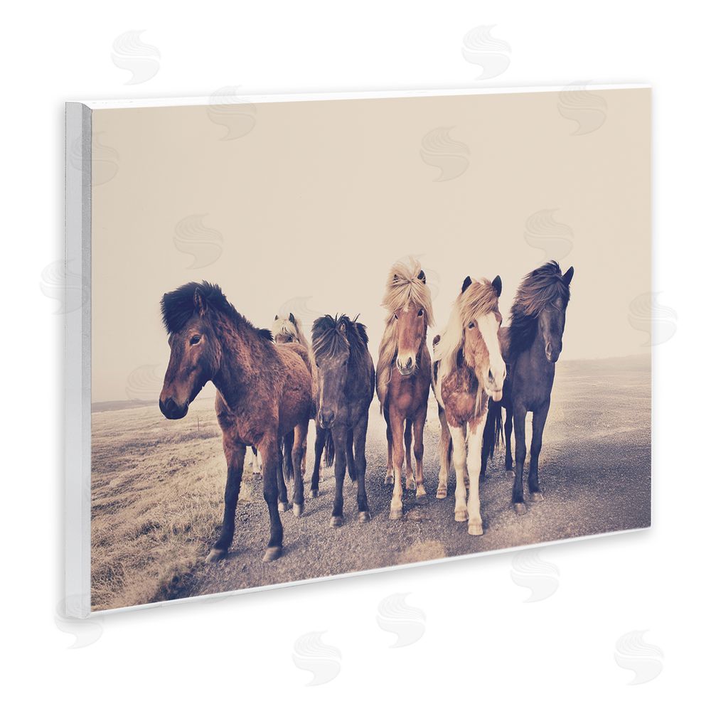 Sisi and Seb Muted Brown Horse Group Wall Plaque Art Print
