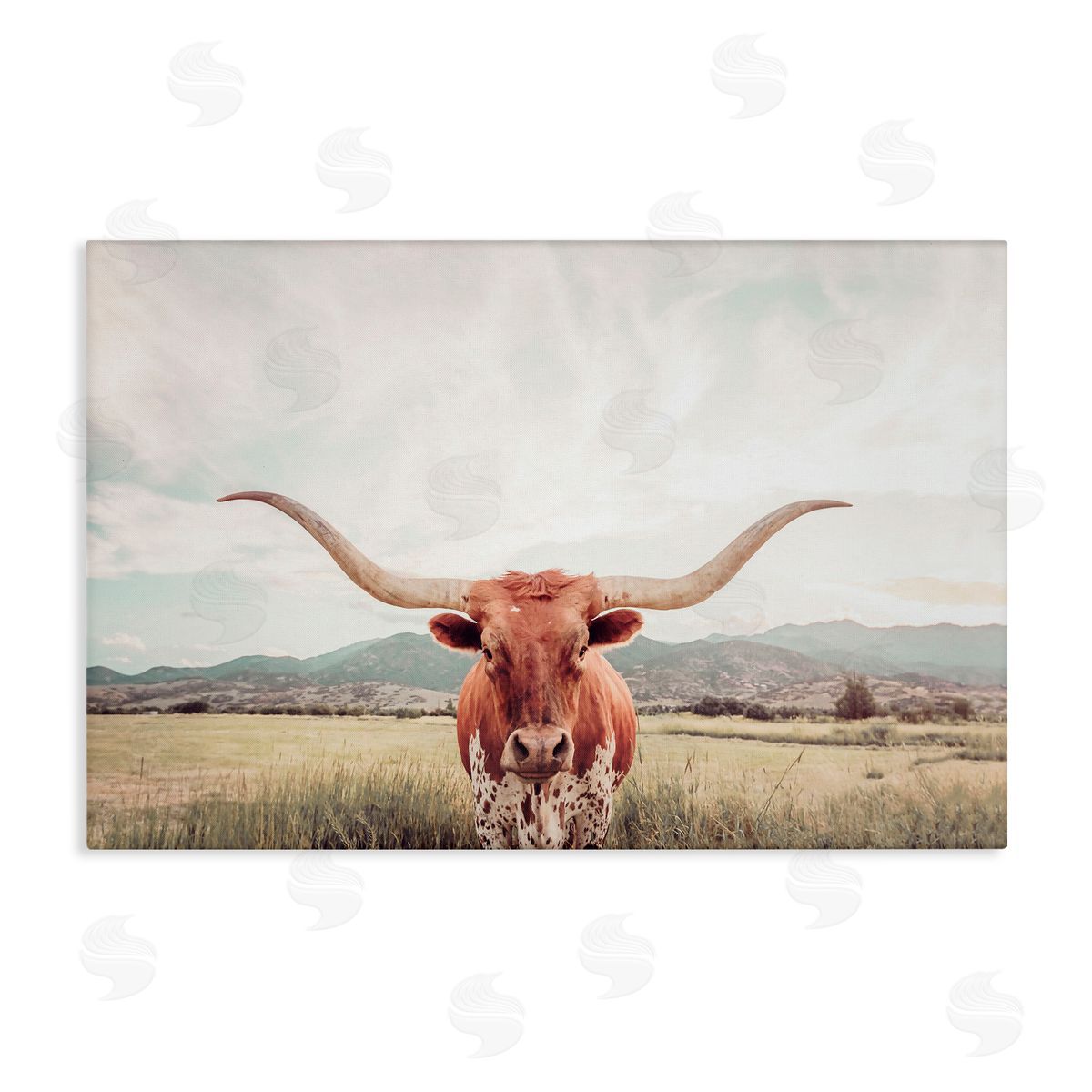 Sisi and Seb Longhorn Portrait Open Meadow Canvas Wall Art Print
