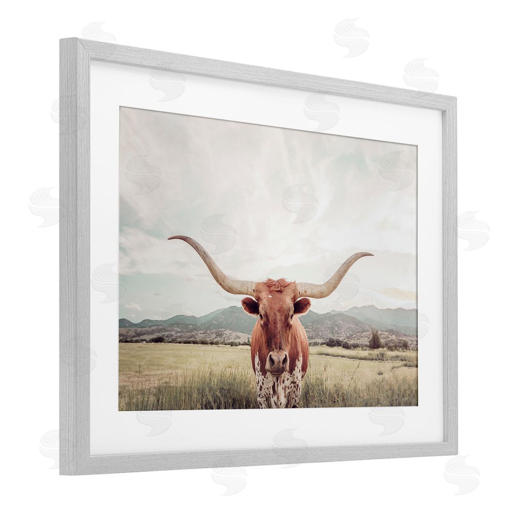 Sisi and Seb Longhorn Portrait Open Meadow Gray Framed Print Under Glass with White Mat Wall Art