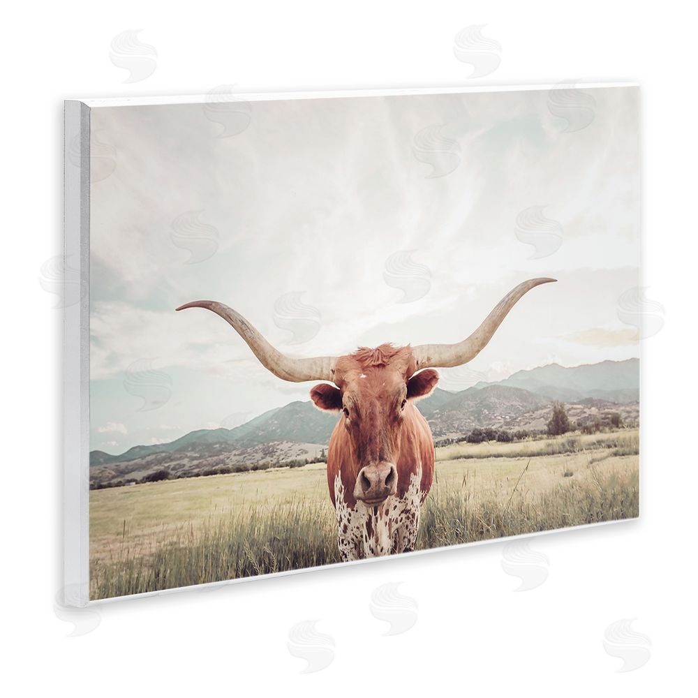 Sisi and Seb Longhorn Portrait Open Meadow Wall Plaque Art Print