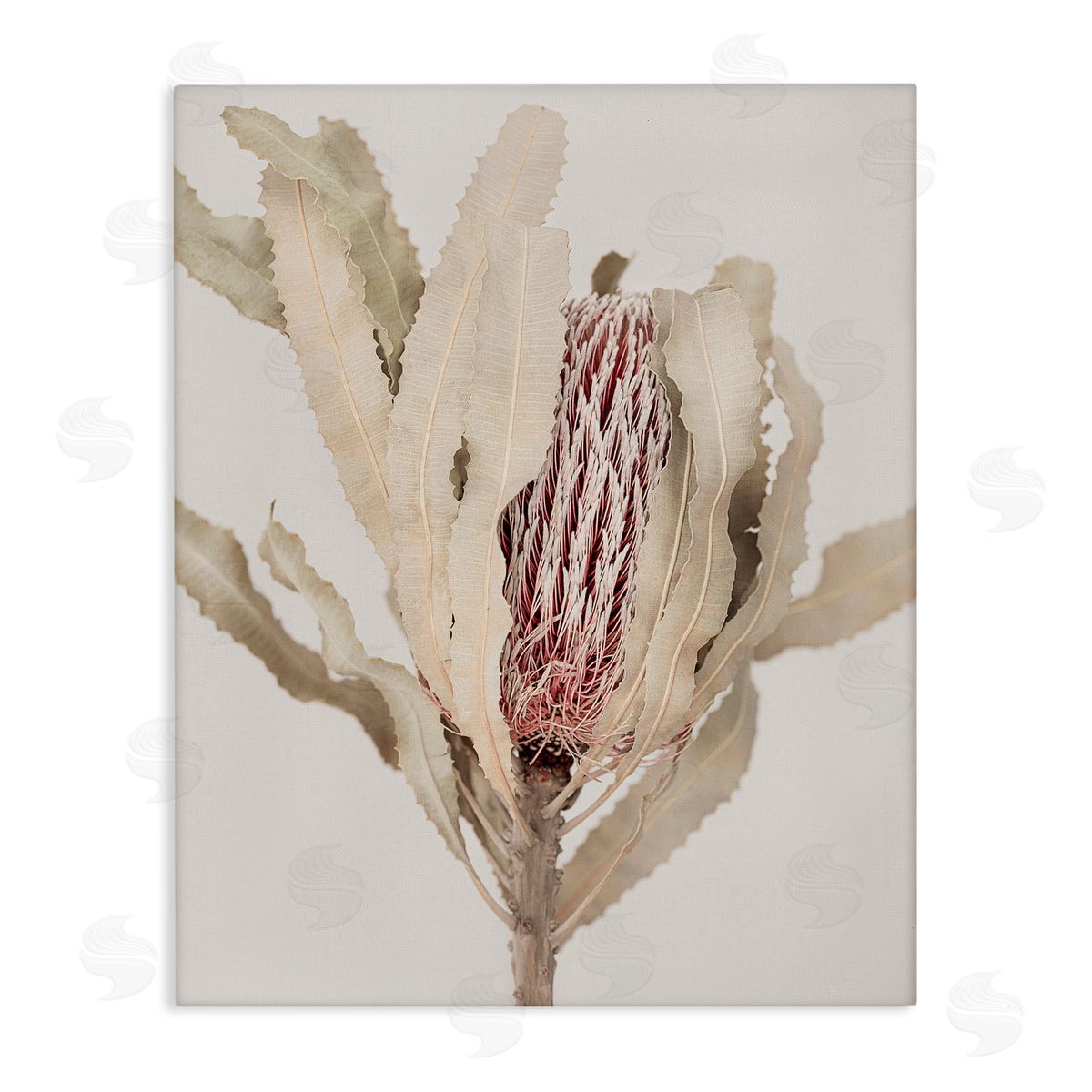 Sisi and Seb Hidden Banksia Botanical Fronds Canvas Wall Art Print