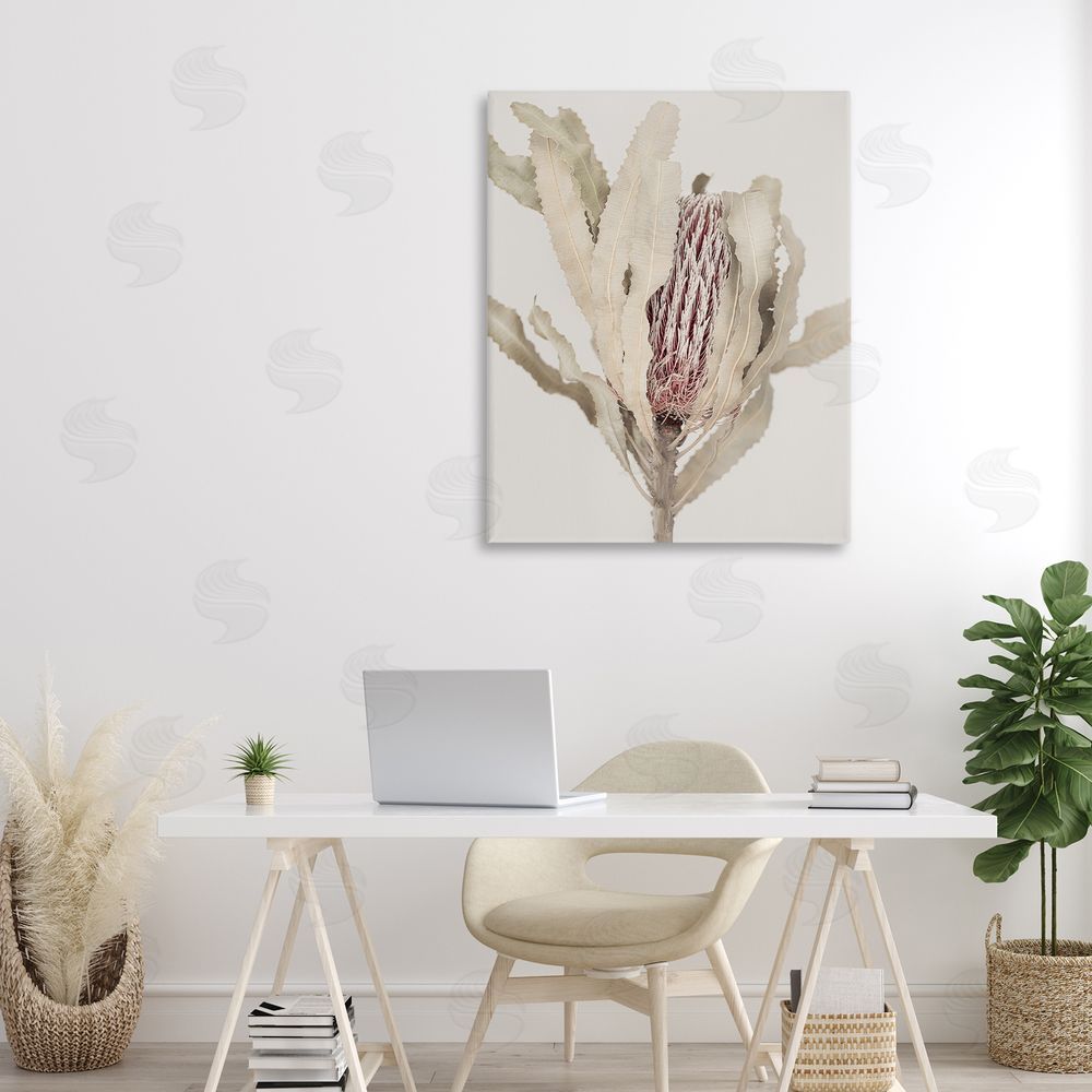 Sisi and Seb Hidden Banksia Botanical Fronds Canvas Art on Wall
