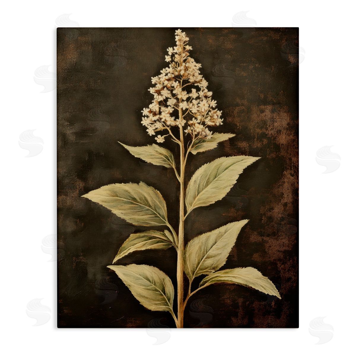 Petal Prints Design Weathered Flower Portrait Canvas Wall Art Print