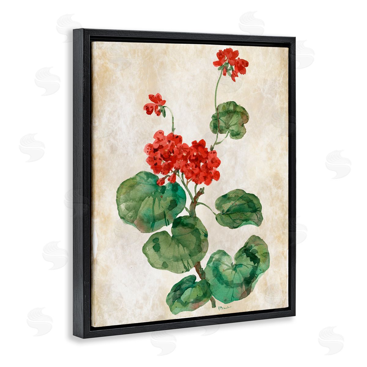 Paul Brent Floral Journal Red Flower Black Floating Frame Canvas Wall Art Print