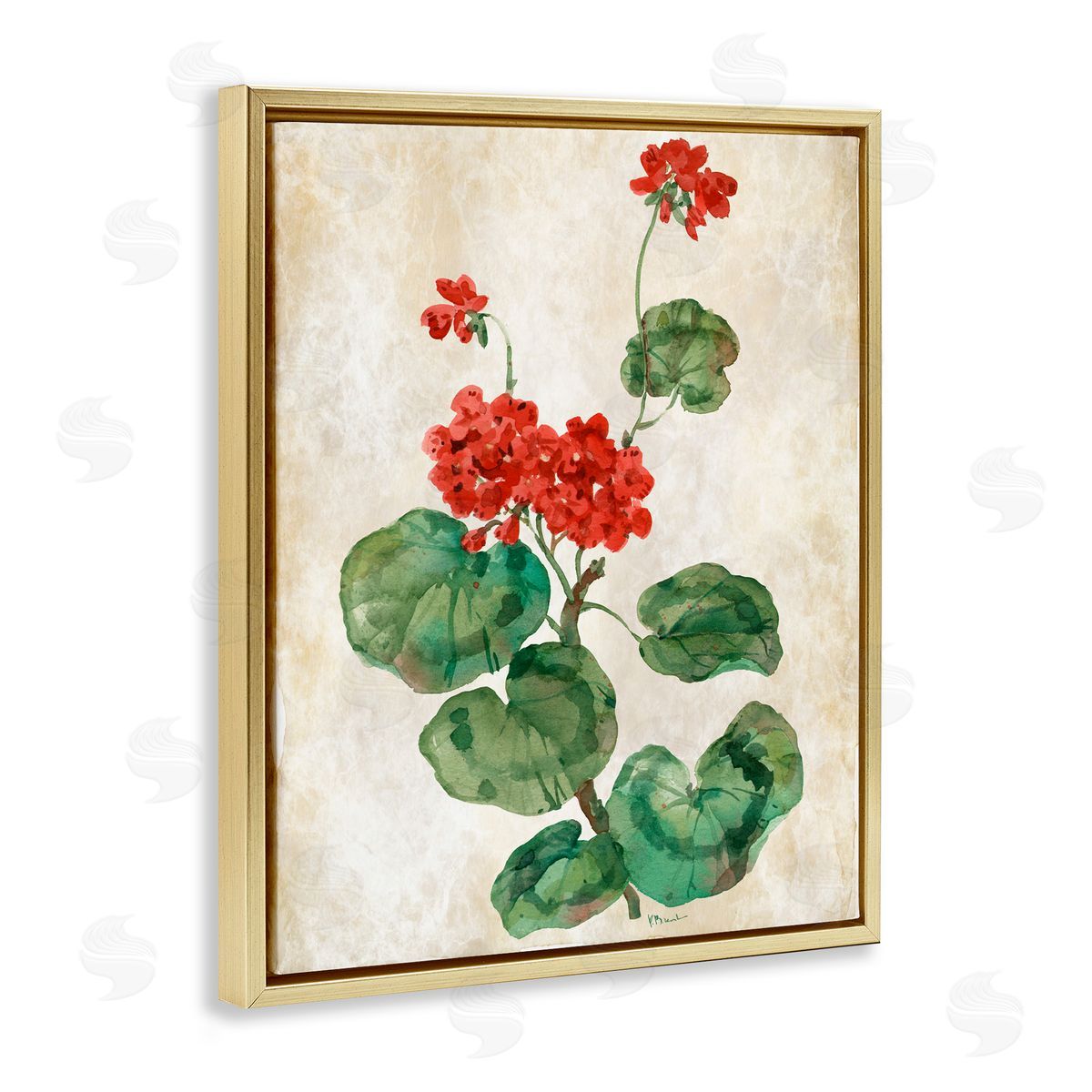 Paul Brent Floral Journal Red Flower Gold Floating Frame Canvas Art Print