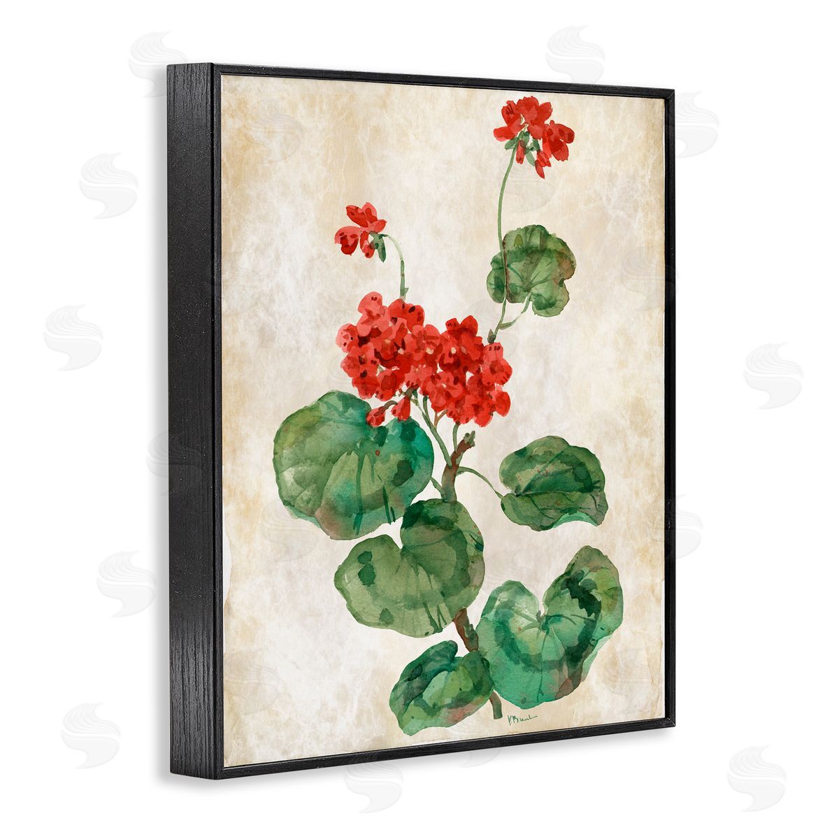 Paul Brent Floral Journal Red Flower Black Framed Giclee Art Print