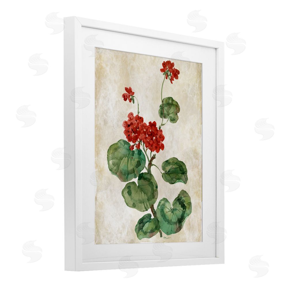 Paul Brent Floral Journal Red Flower White Framed Print Under Glass Art