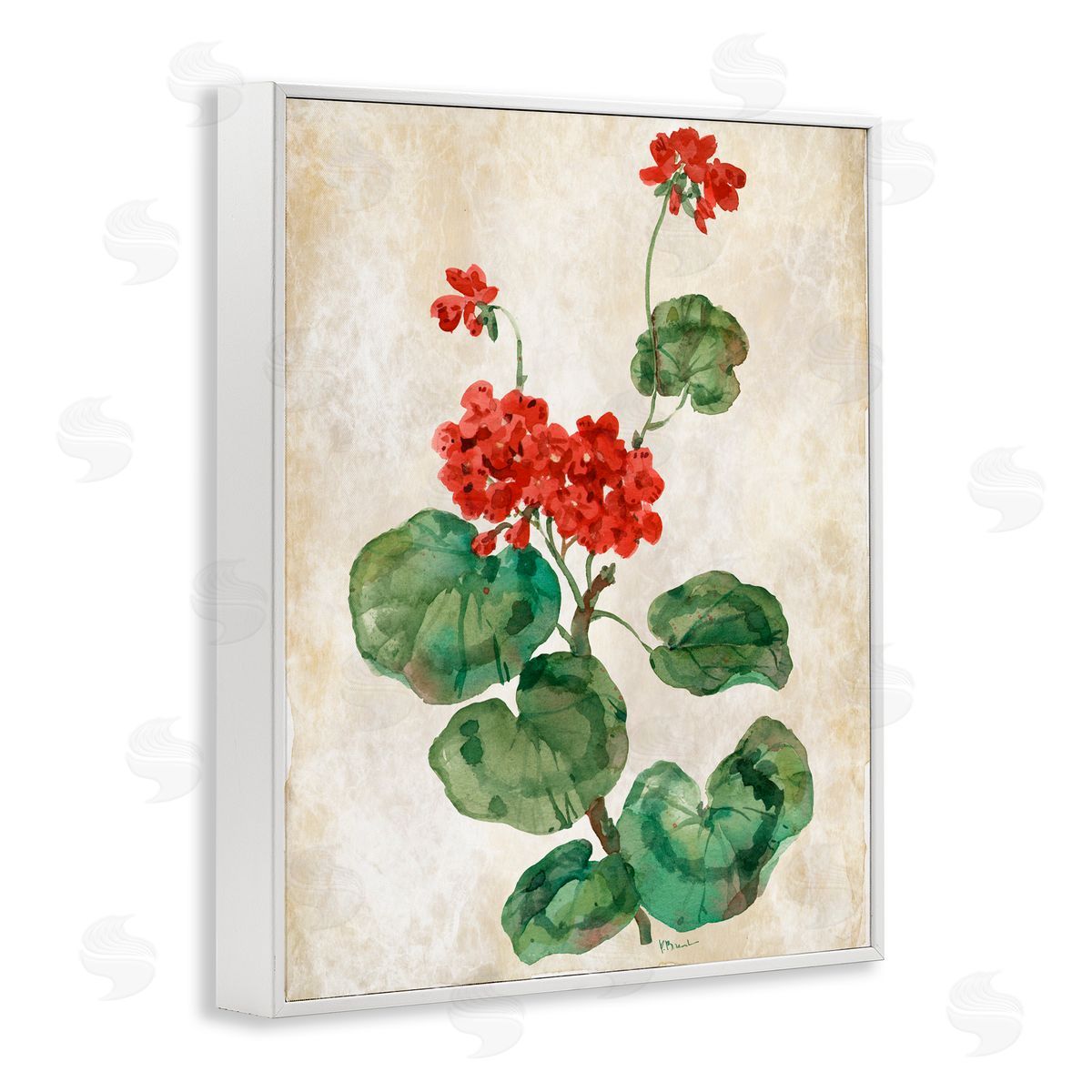 Paul Brent Floral Journal Red Flower White Frame Giclee Art Print
