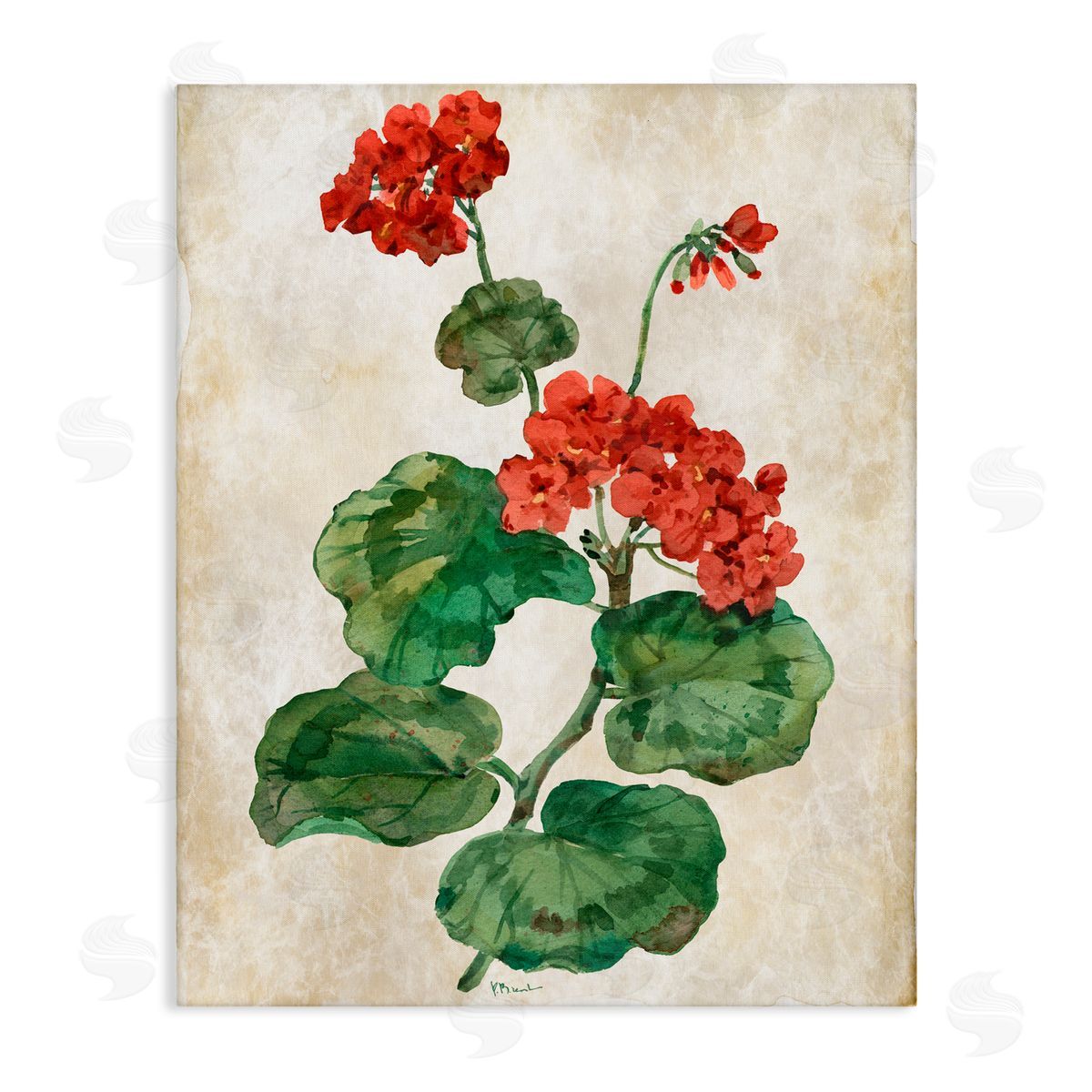 Paul Brent Floral Journal Flower Painting Canvas Wall Art Print