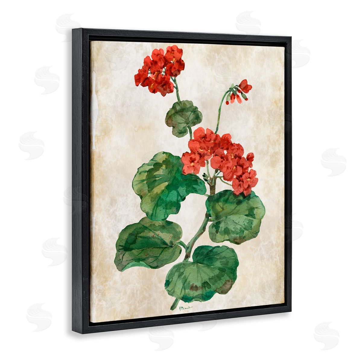 Paul Brent Floral Journal Flower Painting Black Floating Frame Canvas Wall Art Print
