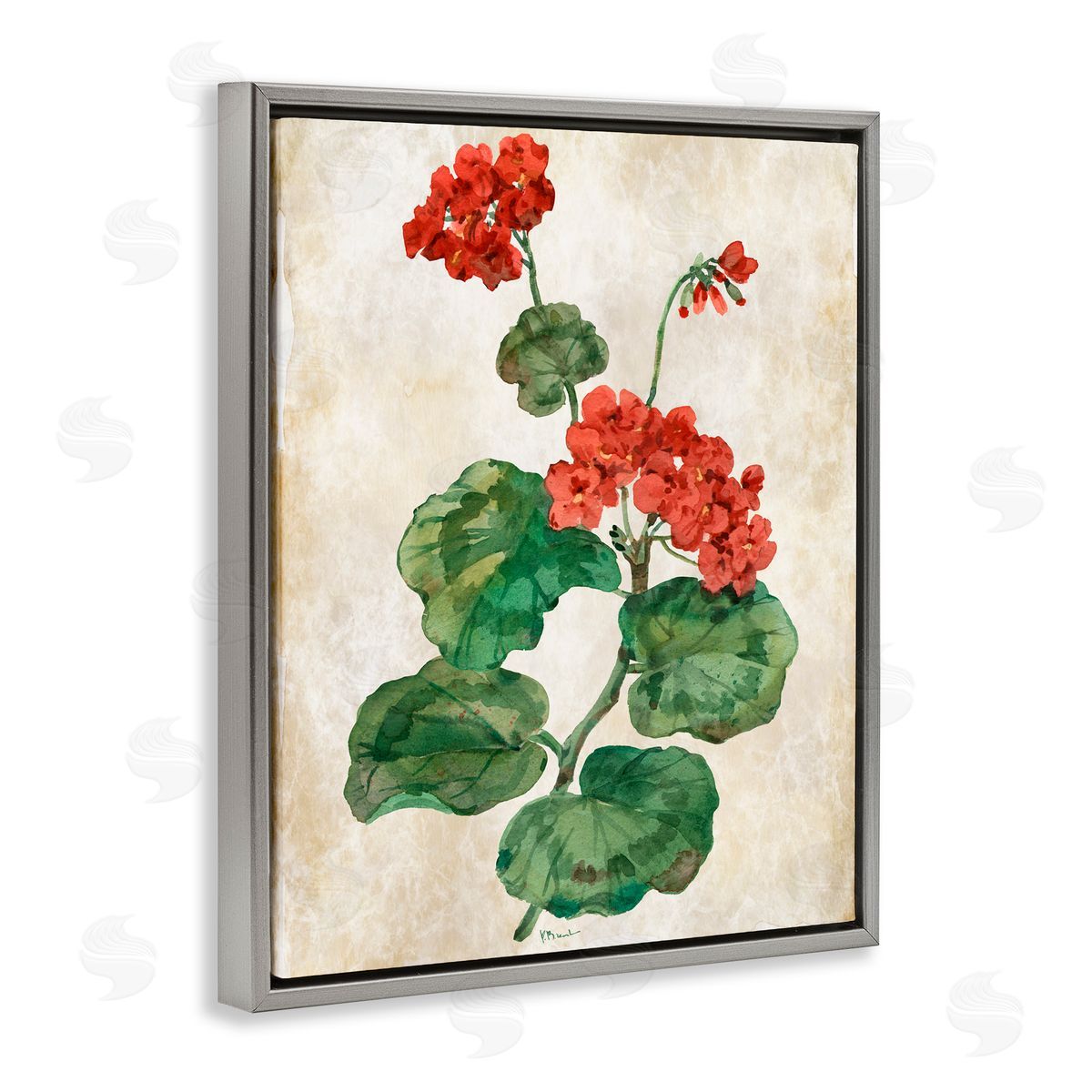 Paul Brent Floral Journal Flower Painting Gray Floating Frame Canvas Art Print