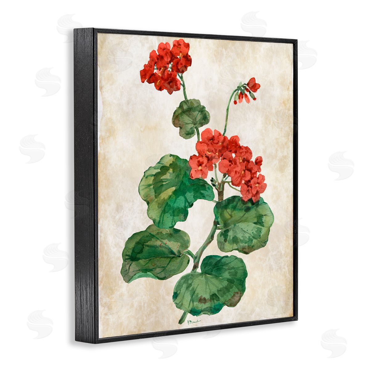 Paul Brent Floral Journal Flower Painting Black Framed Giclee Art Print