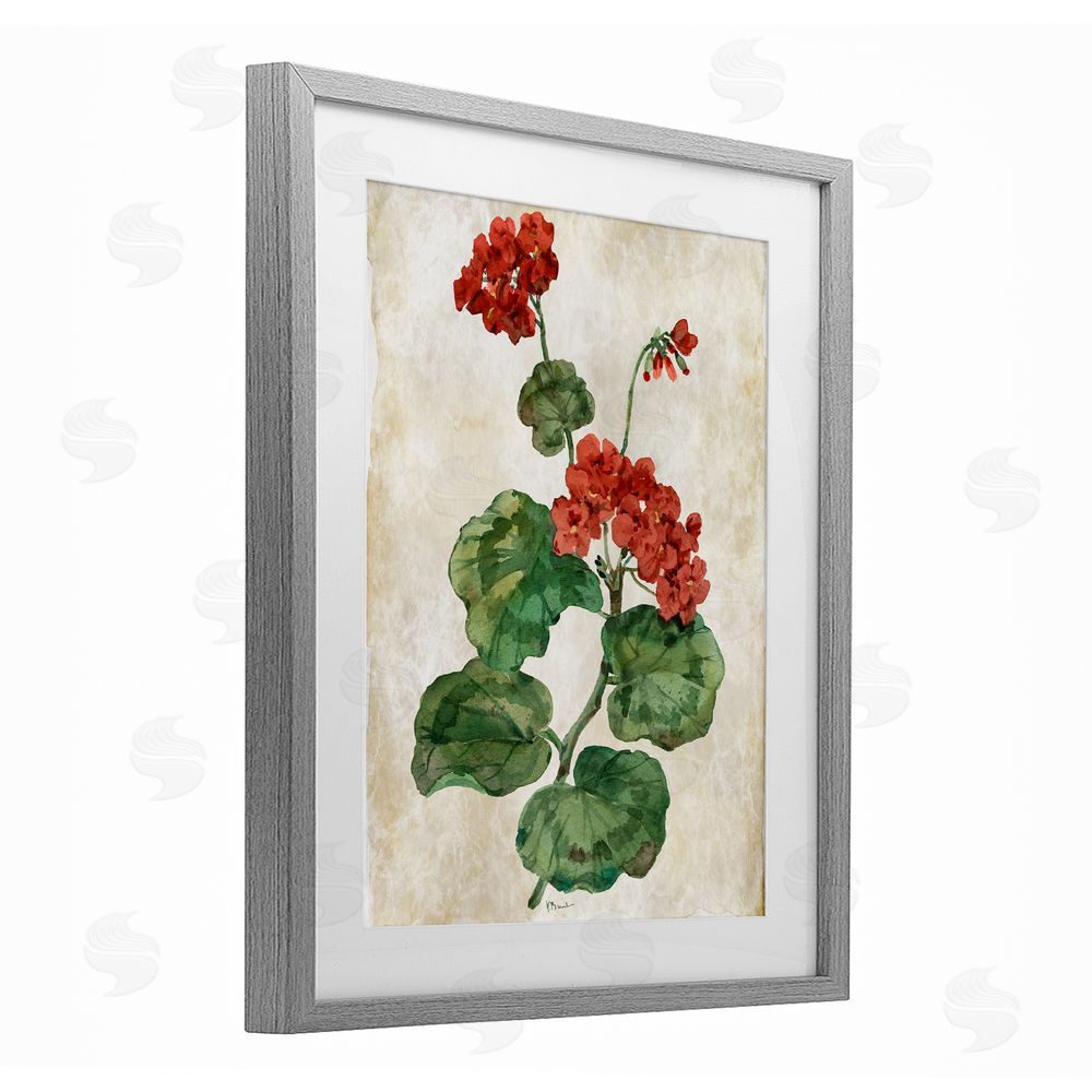 Paul Brent Floral Journal Flower Painting Gray Framed Print Under Glass Art