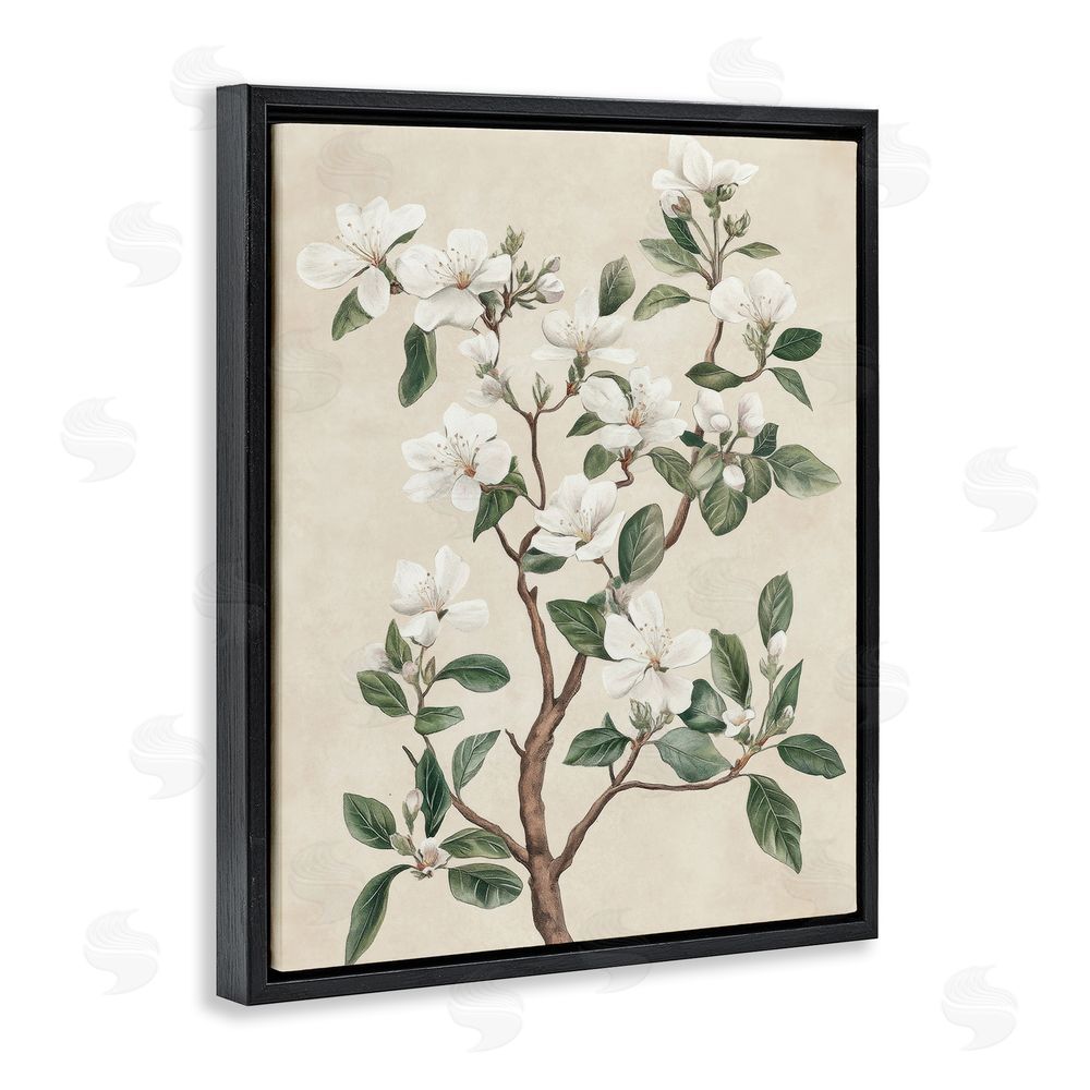 Petal Prints Design White Floral Blossom Tree Black Floating Frame Canvas Wall Art Print