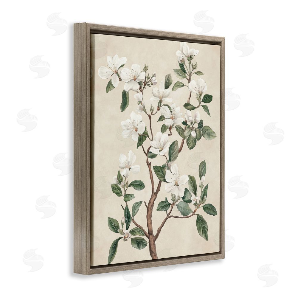 Petal Prints Design White Floral Blossom Tree Brown Floating Frame Canvas Wall Art Print