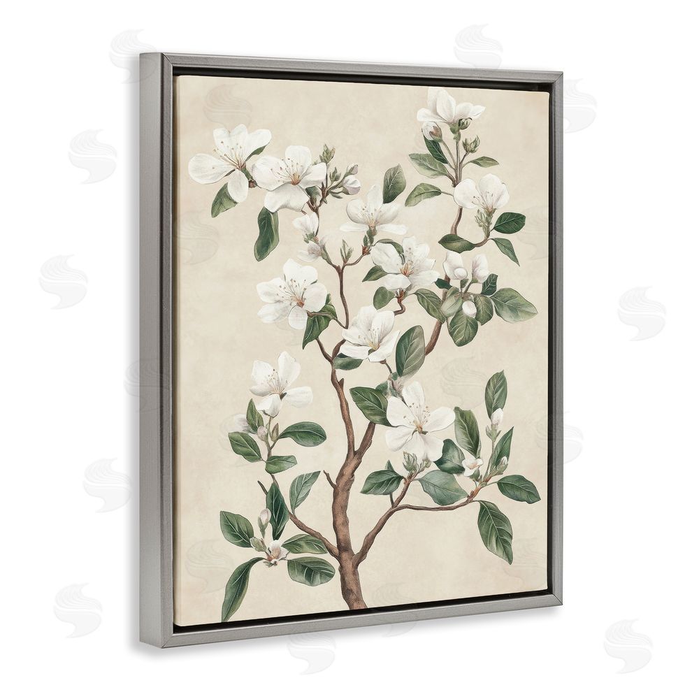 Petal Prints Design White Floral Blossom Tree Gray Floating Frame Canvas Wall Art Print