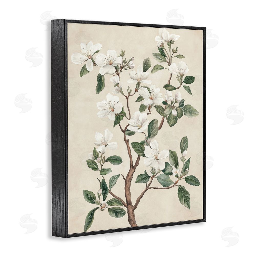 Petal Prints Design White Floral Blossom Tree Black Framed Giclee Wall Art Print