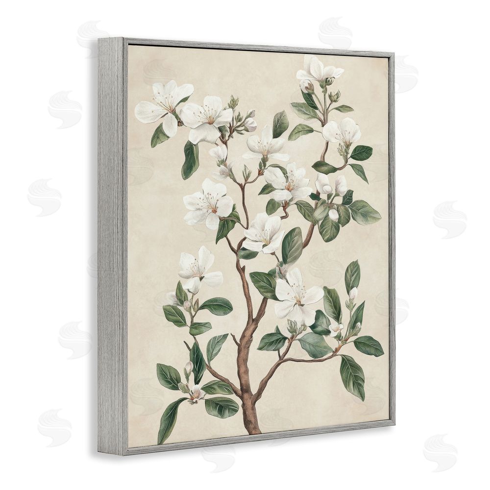 Petal Prints Design White Floral Blossom Tree Gray Framed Giclee Wall Art Print