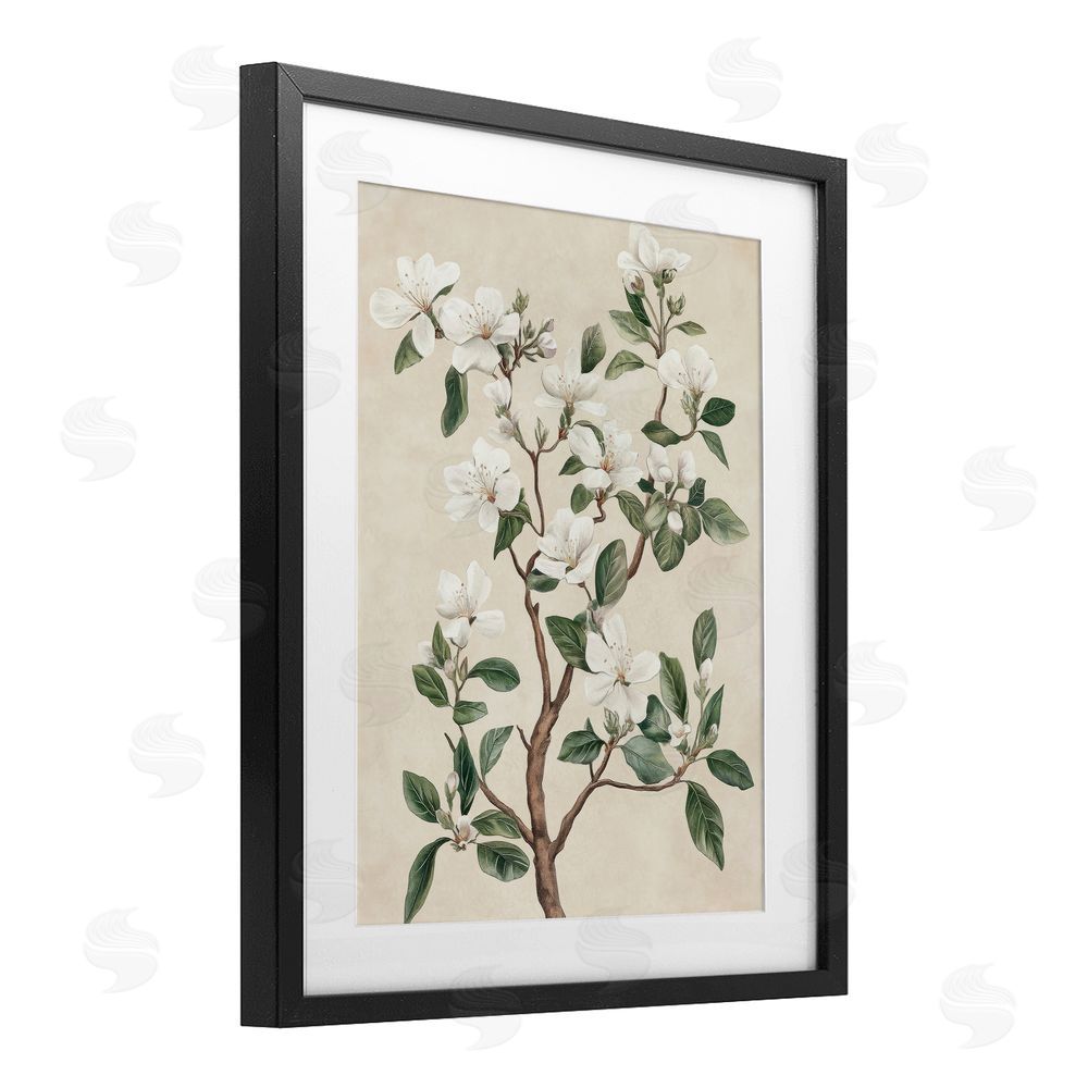 Petal Prints Design White Floral Blossom Tree Black Framed Print Under Glass with White Mat Wall Art