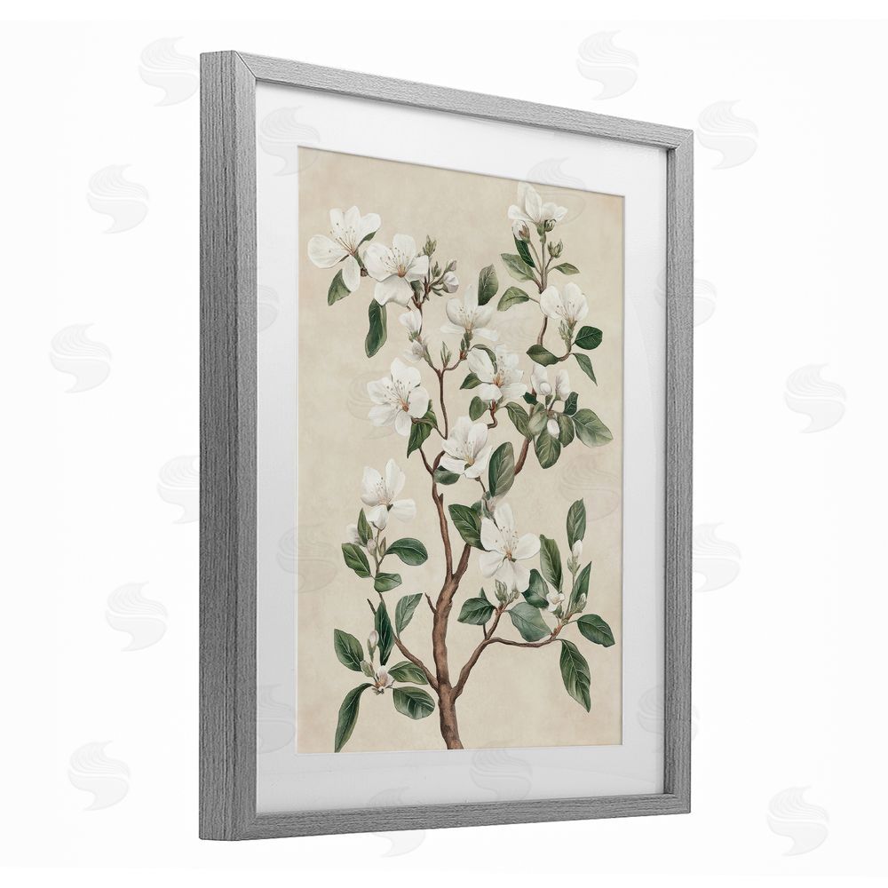 Petal Prints Design White Floral Blossom Tree Gray Framed Print Under Glass with White Mat Wall Art