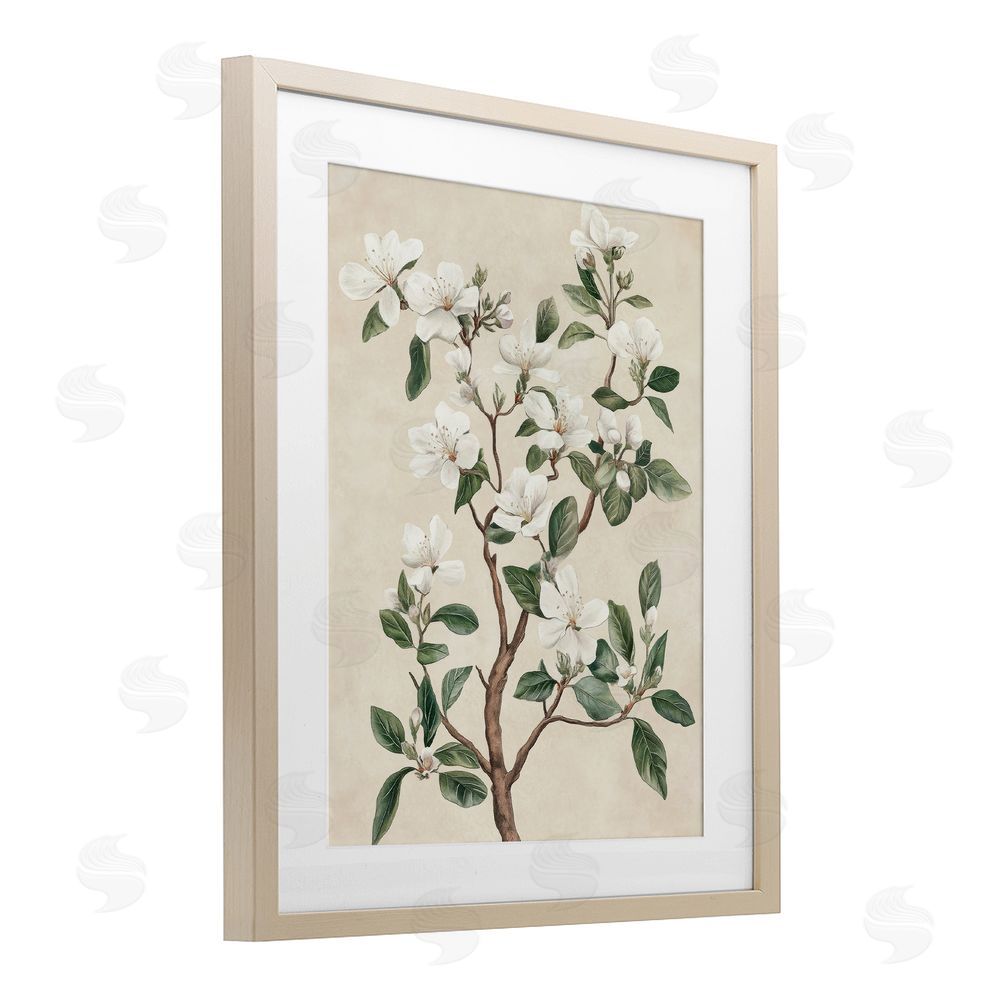 Petal Prints Design White Floral Blossom Tree Birch Framed Print Under Glass with White Mat Wall Art