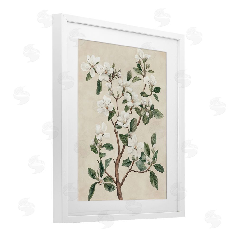 Petal Prints Design White Floral Blossom Tree White Framed Print Under Glass with Mat Wall Art