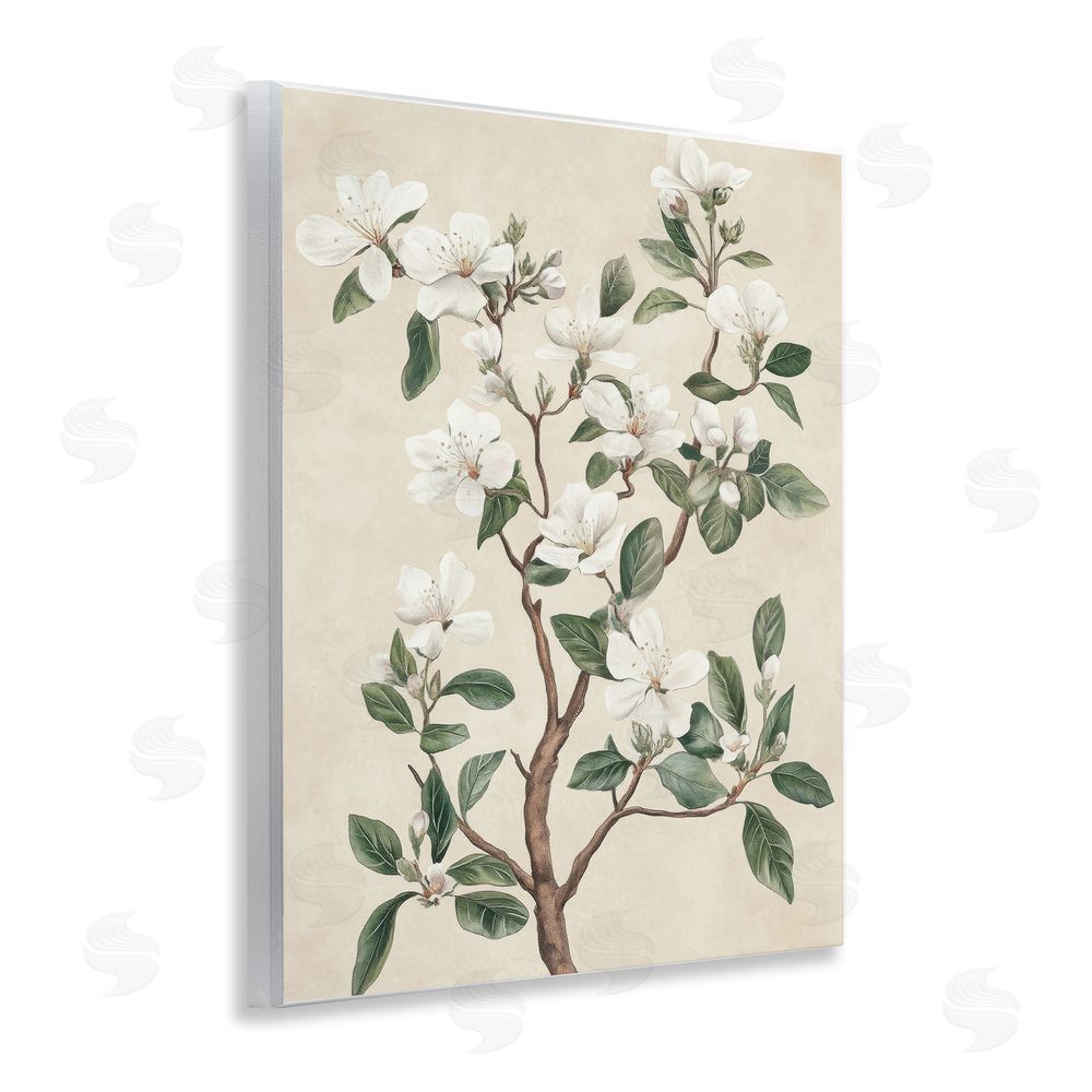 Petal Prints Design White Floral Blossom Tree Wall Plaque Art Print