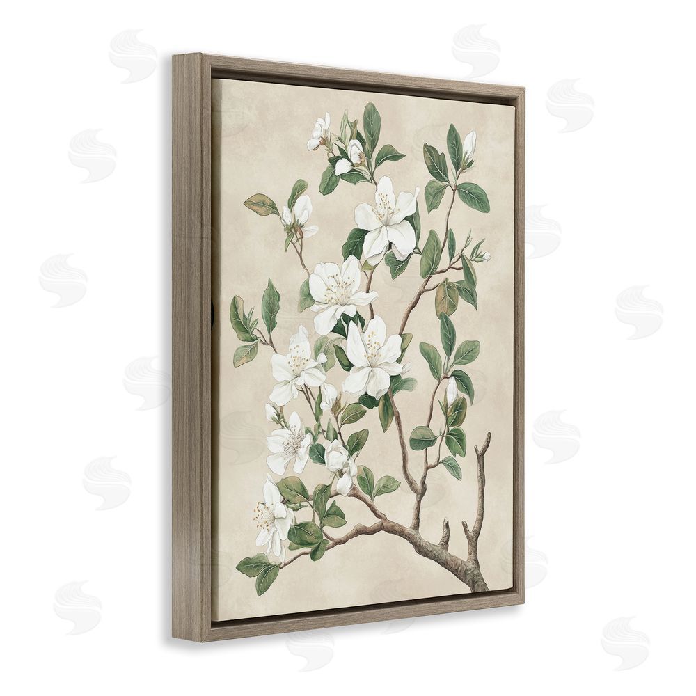 Petal Prints Design Vintage White Blossomed Tree Brown Floating Frame Canvas Wall Art Print