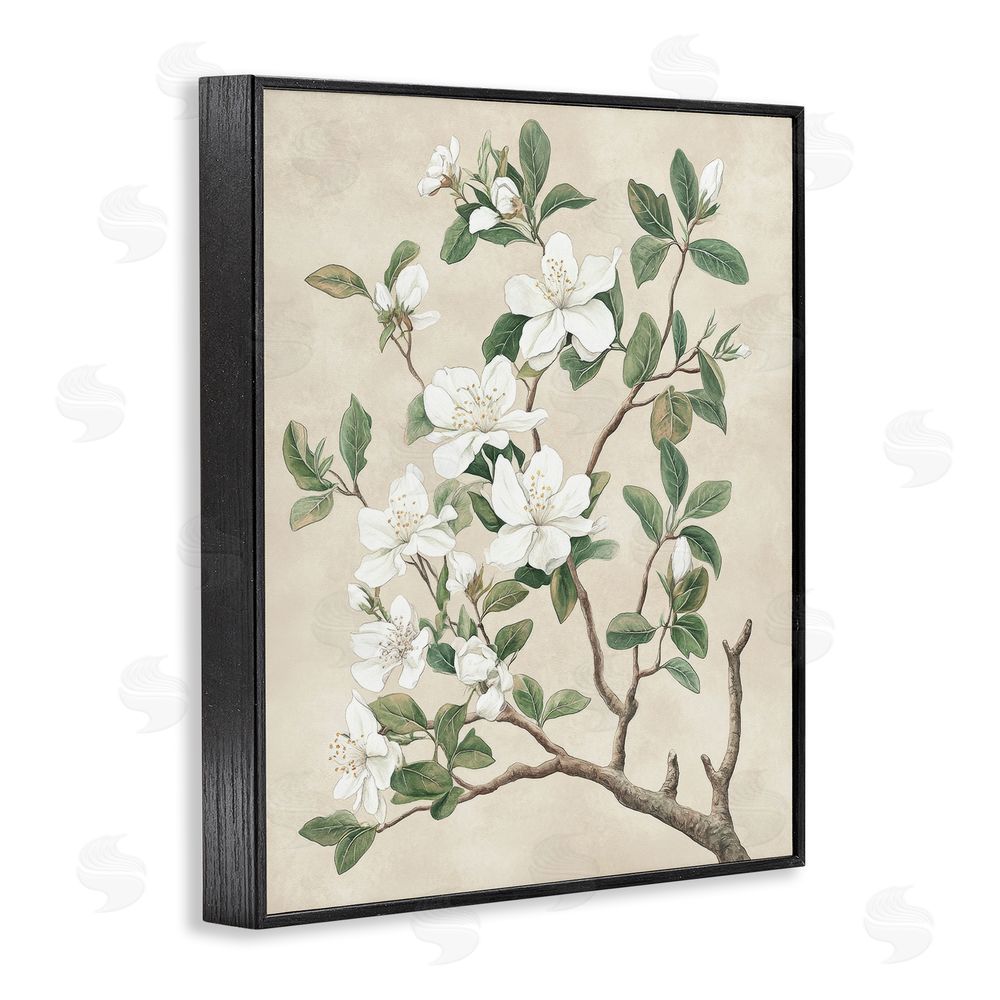 Petal Prints Design Vintage White Blossomed Tree Black Framed Giclee Wall Art Print