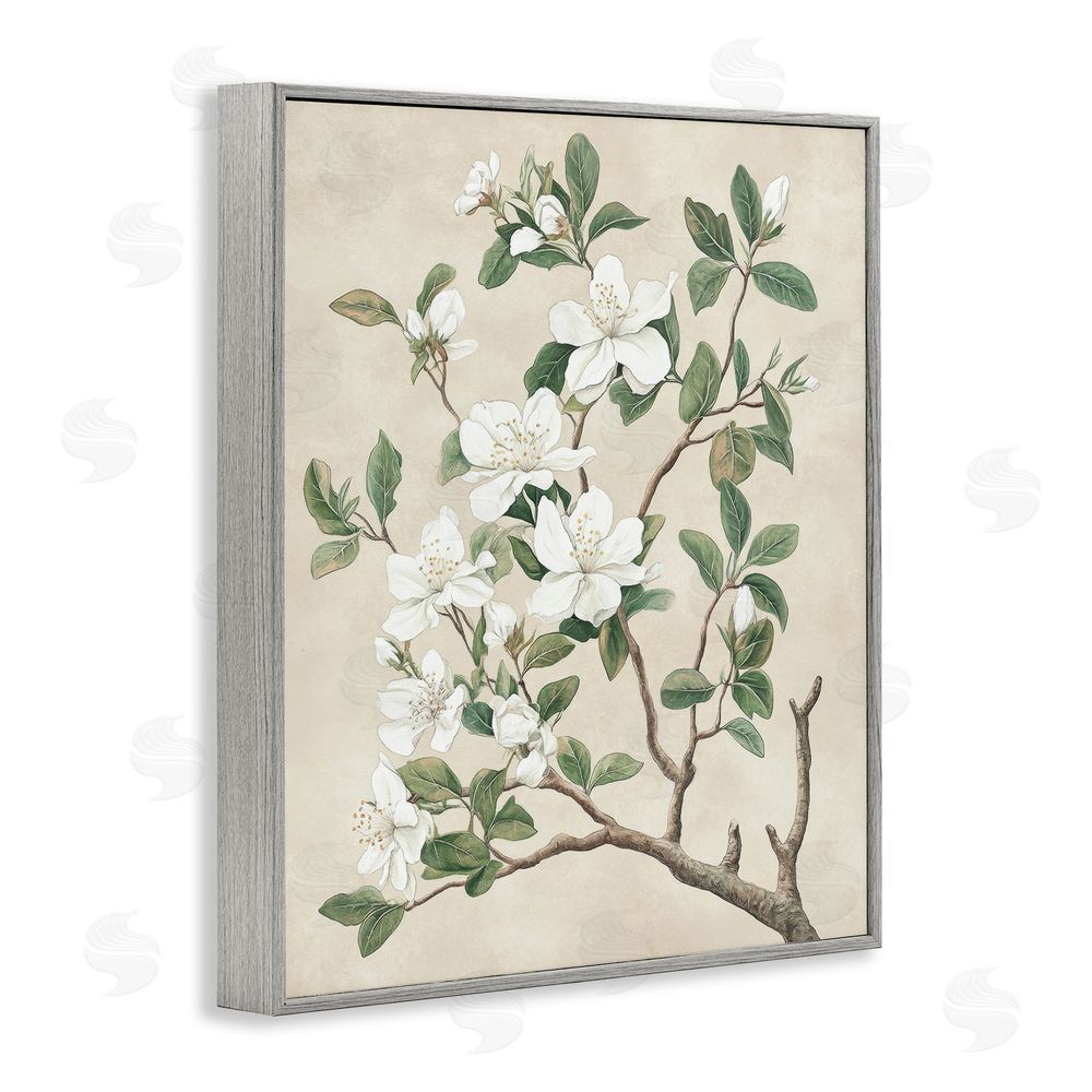 Petal Prints Design Vintage White Blossomed Tree Gray Framed Giclee Wall Art Print