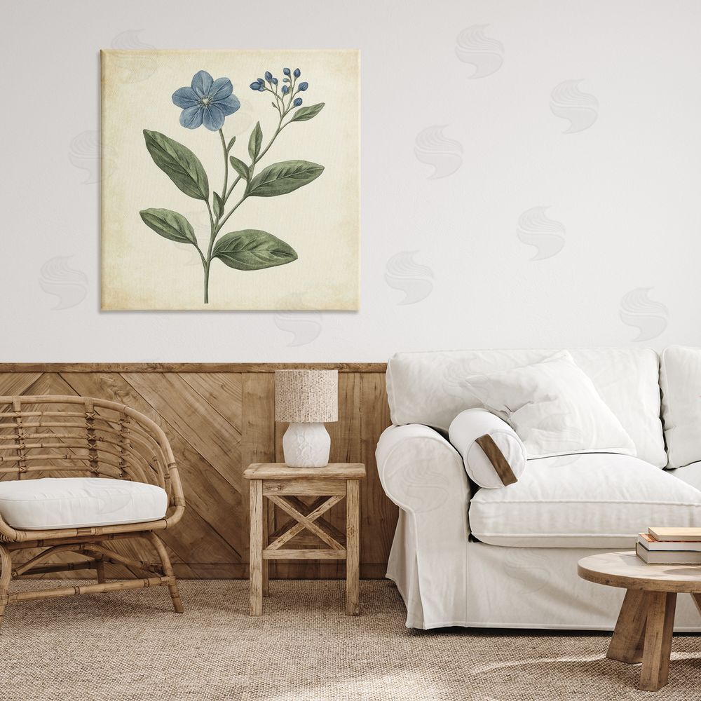 Petal Prints Design Vintage Blue Blossoms Wildflower Canvas Art on Wall