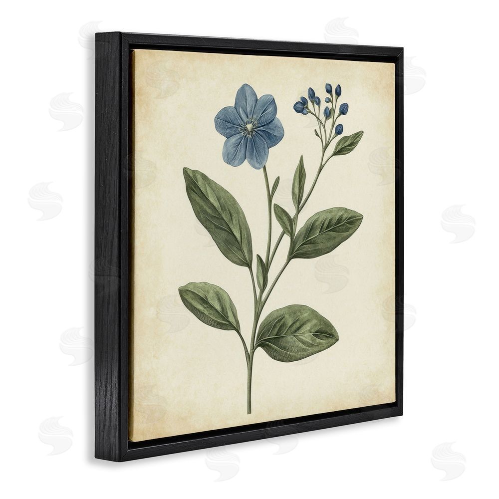 Petal Prints Design Vintage Blue Blossoms Wildflower Black Floating Frame Canvas Wall Art Print