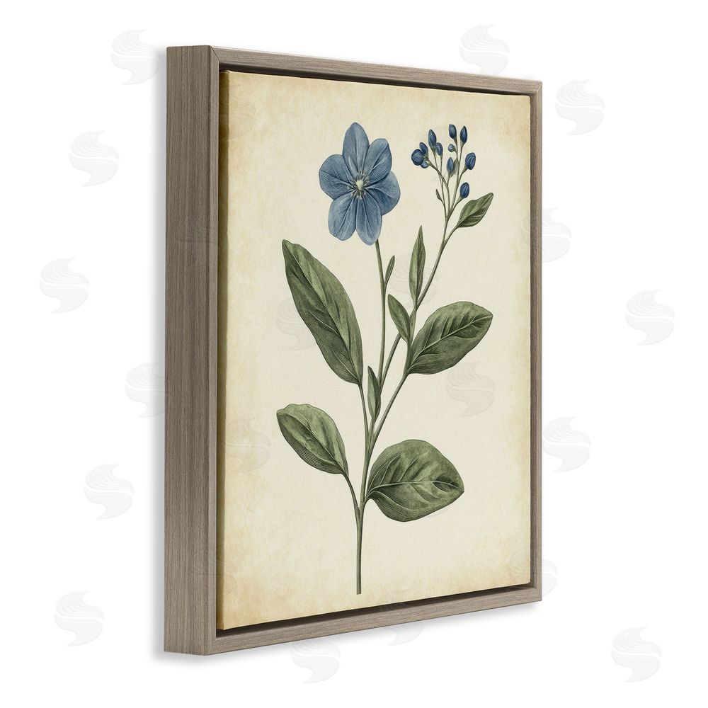Petal Prints Design Vintage Blue Blossoms Wildflower Brown Floating Frame Canvas Wall Art Print
