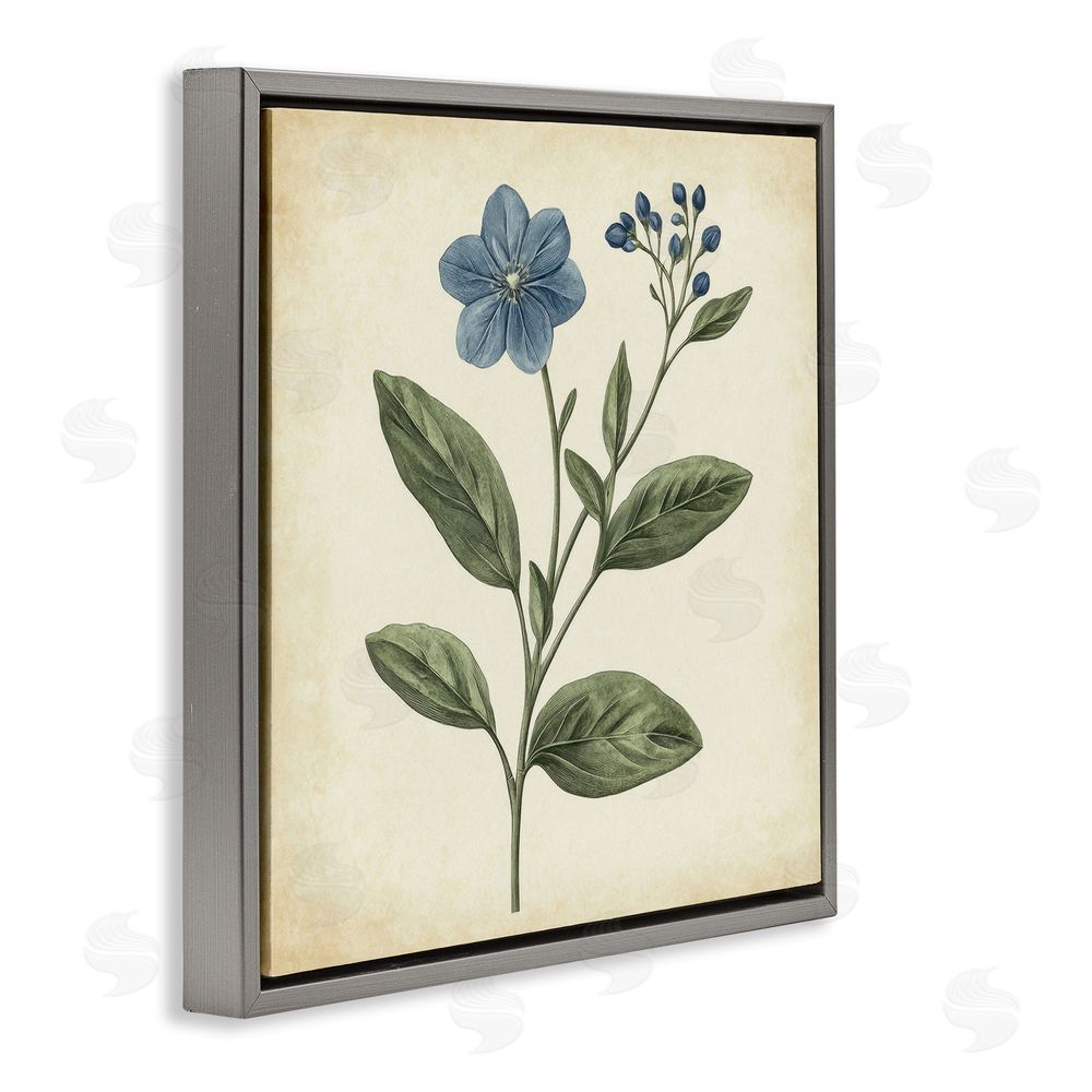 Petal Prints Design Vintage Blue Blossoms Wildflower Gray Floating Frame Canvas Wall Art Print