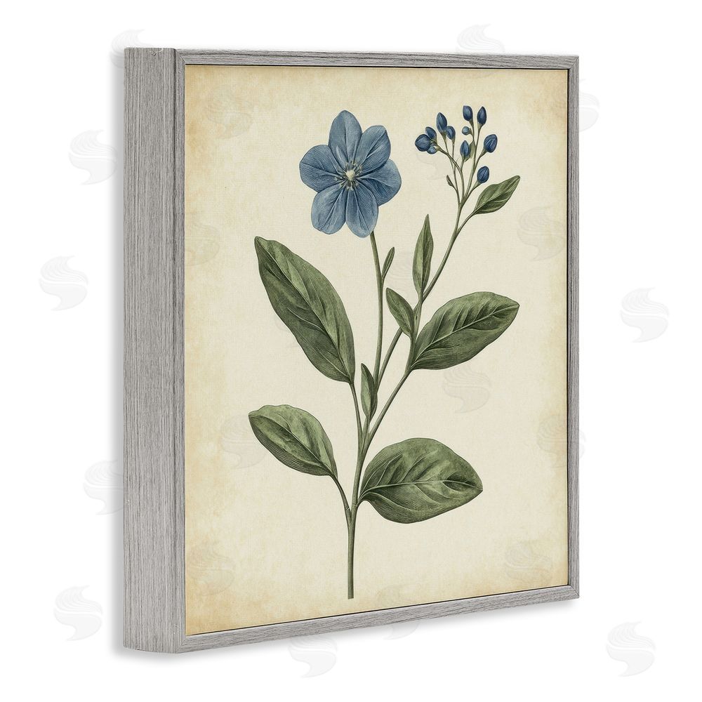 Petal Prints Design Vintage Blue Blossoms Wildflower Gray Framed Giclee Wall Art Print