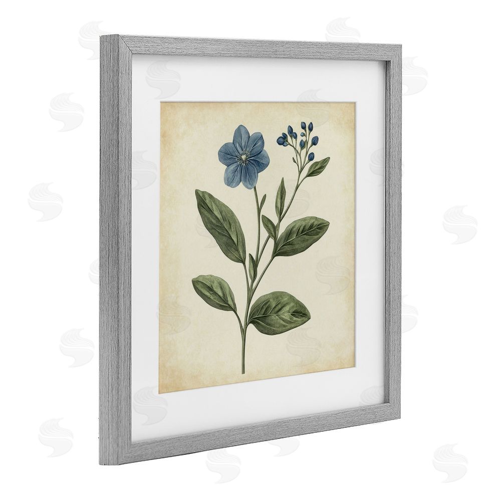 Petal Prints Design Vintage Blue Blossoms Wildflower Gray Framed Print Under Glass with White Mat Wall Art