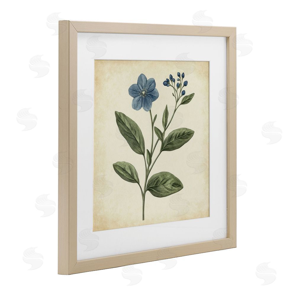Petal Prints Design Vintage Blue Blossoms Wildflower Birch Framed Print Under Glass with White Mat Wall Art