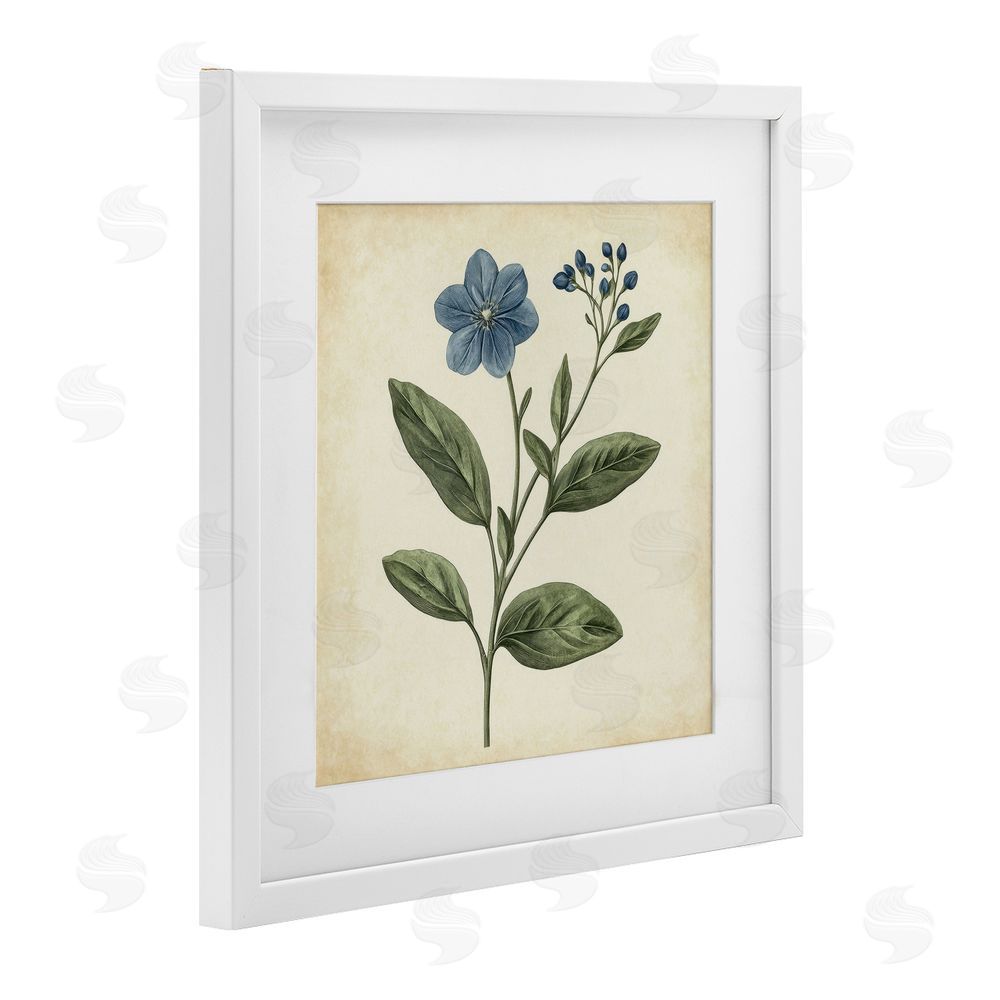 Petal Prints Design Vintage Blue Blossoms Wildflower White Framed Print Under Glass with Mat Wall Art