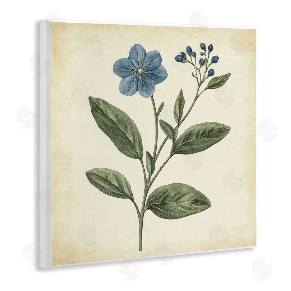 Petal Prints Design Vintage Blue Blossoms Wildflower Wall Plaque Art Print