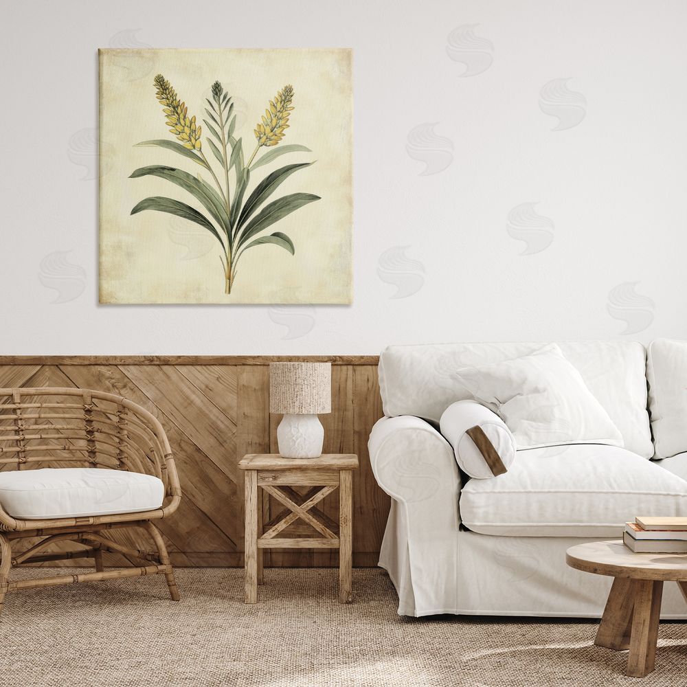 Petal Prints Design Vintage Yellow Wheat Illustration Canvas Art on Wall