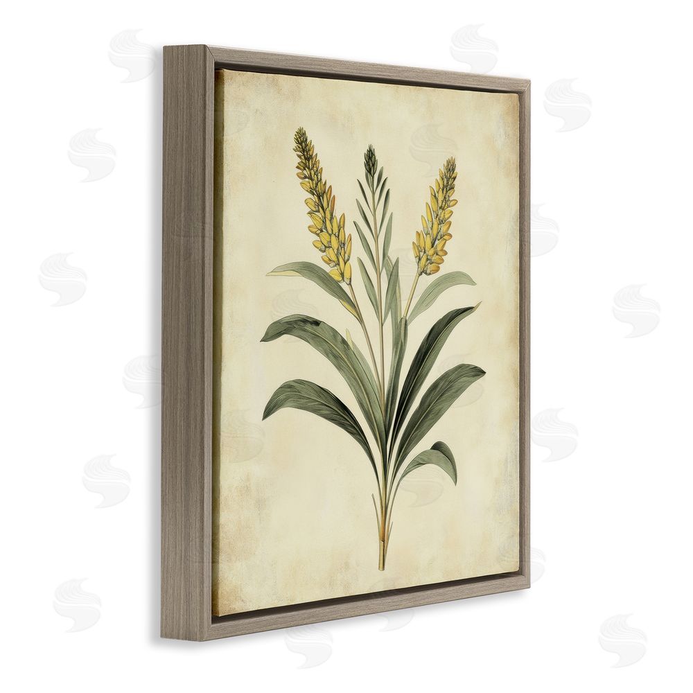Petal Prints Design Vintage Yellow Wheat Illustration Brown Floating Frame Canvas Wall Art Print