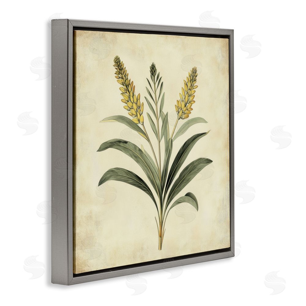 Petal Prints Design Vintage Yellow Wheat Illustration Gray Floating Frame Canvas Wall Art Print